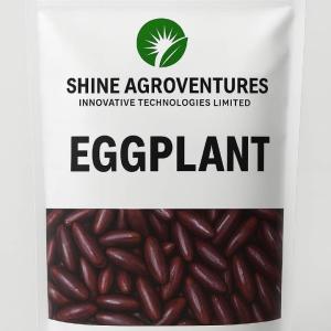 Egg Plant