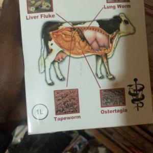 Levanor Suspension Plus