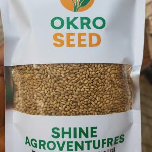 Okra Seed