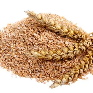 Wheat offal /wheat bran